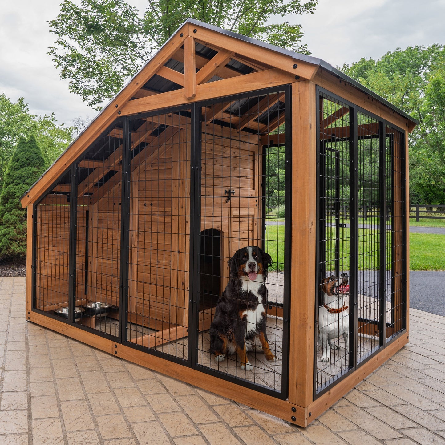 Animal Enclosure